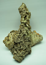 Load image into Gallery viewer, Natural Cork Bark Flat with lichen. For terrariums and mouting plants.
