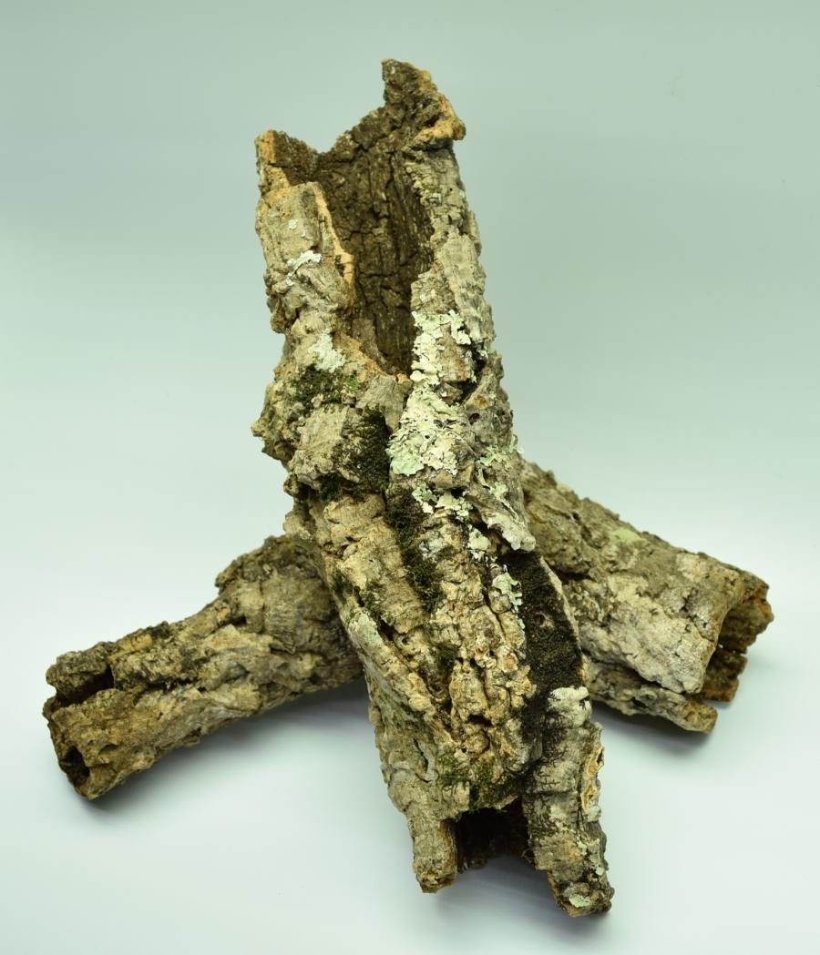 Cork Bark Tubes Divide and Culture