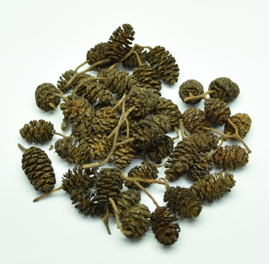 15 Grams of Black Alder Cones, Alnus glutinosa catkins.