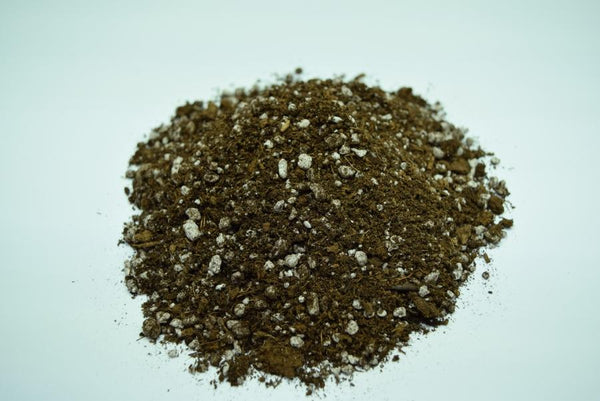 carnivorous plant potting mix Carnivorous Plant Soil