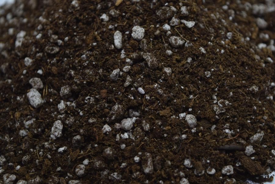 Close up of Sphagnum Peat moss and Perlite