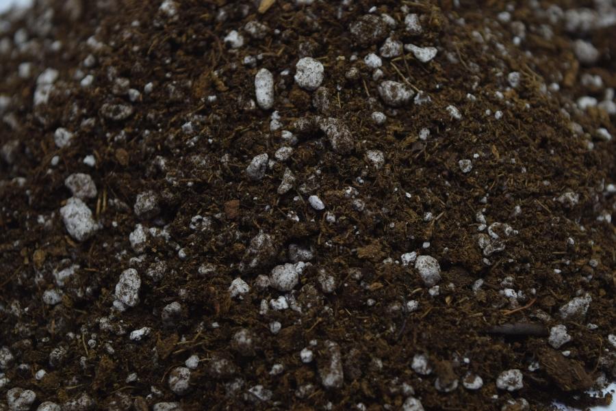 carnivorous potting mix Carnivorous Plant Soil