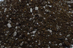 Load image into Gallery viewer, Close up of Sphagnum Peat moss and Perlite
