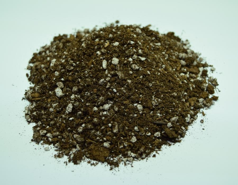 Mixture of Sphagnum Peat moss and Perlite in Carnivorous plant soil.