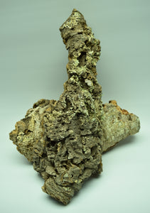 Natural Cork Bark Flat with lichen. For terrariums and mouting plants.