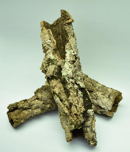 Natural Cork Bark tubes with moss and lichen  for terrariums.
