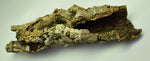 Load image into Gallery viewer, Single cork bark tube for mounting orchids and plants.
