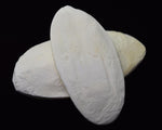 Load image into Gallery viewer, Two cuttle bones. Reptile and isopod calcium supplement.
