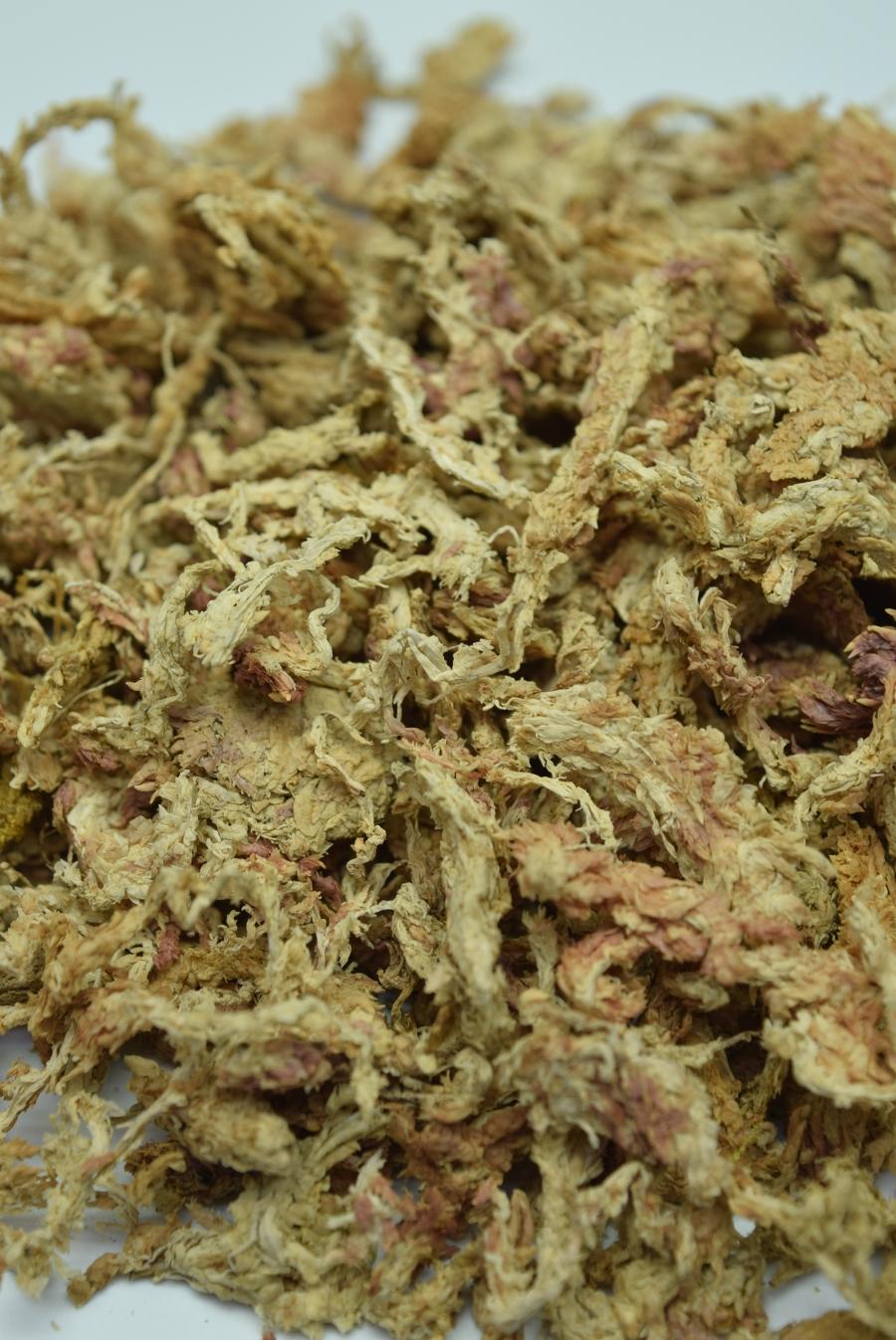 Natural Air-Dried Long-Fiber Sphagnum Moss for Gardening and Decorative  Potted Plants - China Sphagnum Moss and Moss price