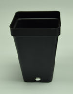 Load image into Gallery viewer, Close up of 2.5&quot; Square Black Plasic Pot.
