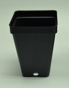Close up of 2.5" Square Black Plasic Pot.