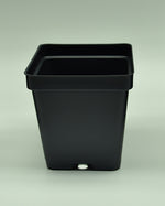 Load image into Gallery viewer, Close up of 3.25&quot; Square Black Plasic Pot.
